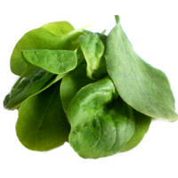 Spinach' Iron Content