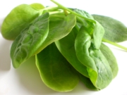 spinach at high risk of radioactive contamination