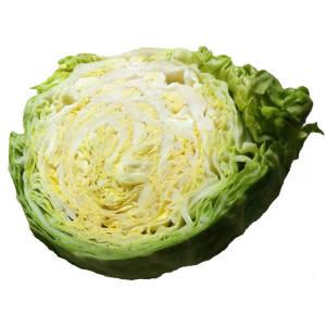 Cabbage