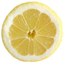 What Shall We Do If Lemon Slices are Dried and Turned Into Black - Shuntec