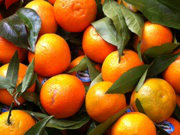 Mandarin oranges including tangerines and clementines