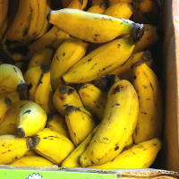 Manzano Bananas and Their Health Benefits