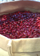Health benefits of red kidney beans