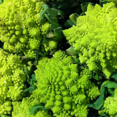 Romanesco Broccoflower