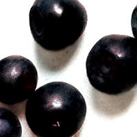 Acai Berry Antioxidants