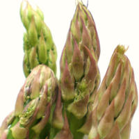 Asparagus - The Next Superfood?