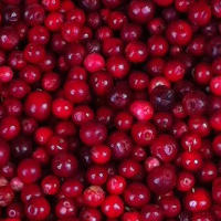Cranberries: Superfood with Many Health Benefits