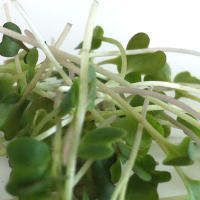 Kale Sprouts Health Benefits
