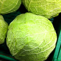 Savoy Cabbage Health Benefits