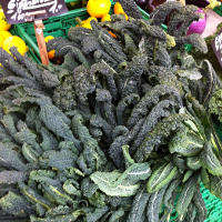 Black Tuscan Kale