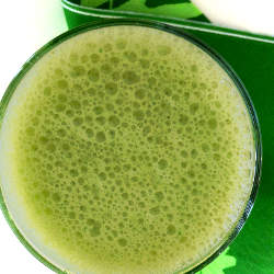 kale Spinach Smoothie