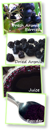 Benefits of Buying Organic Aronia Berries