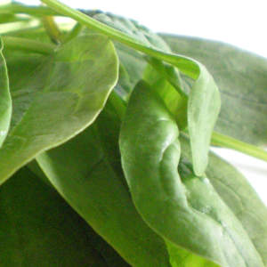 Arugula or Spinach