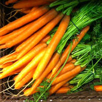 Carrots and Beta-Carotene