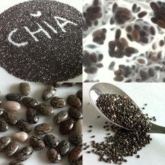Chia is good for health