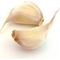 Garlic and its medicinal properties