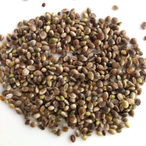 Omega-3 in Hemp Seeds