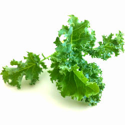 Health benefits of kale