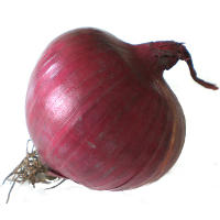 Onion: Health Benefits