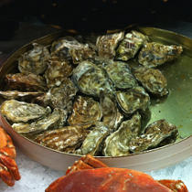 Omega-3 in Oysters