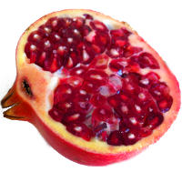 How Pomegranate Fights Prostate Cancer