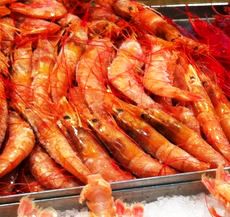 Is Shrimp Cholesterol Good or Bad