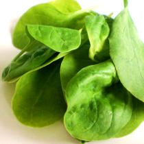 Beta-Carotene in Spinach