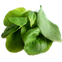 High Iron Content of Spinach – More Than a Myth?