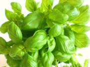 Converting dried basil to fresh